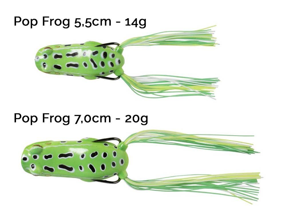 SG 3D Pop Frog – Green Frog